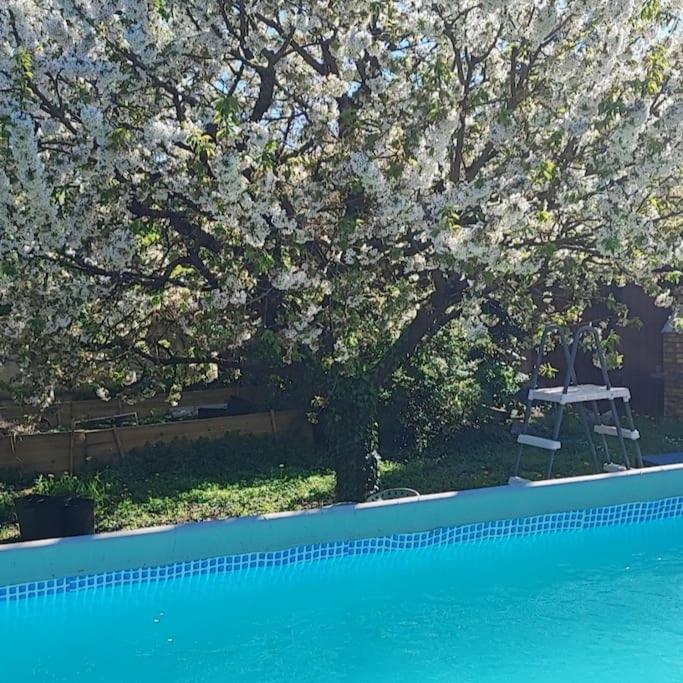 Havre De Paix Villa Corbeil-Essonnes Dış mekan fotoğraf